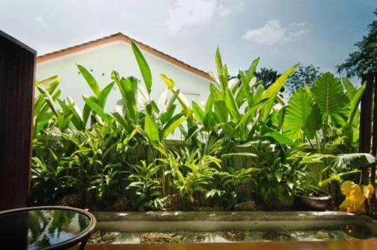 Mydream Guest House Ipoh Exterior photo